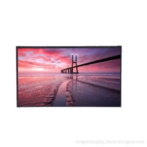 Rg133xxs-02 Multi-Media Monitor 13.3inch LCD Display IPS Screen